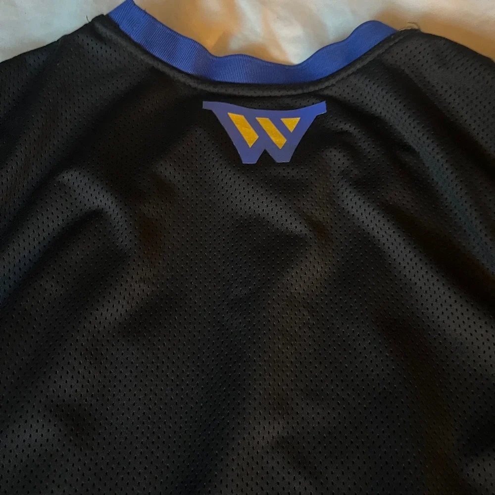 NBA golden state